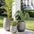 Dorlis Fiberstone Pot Planter-888476463-888476460