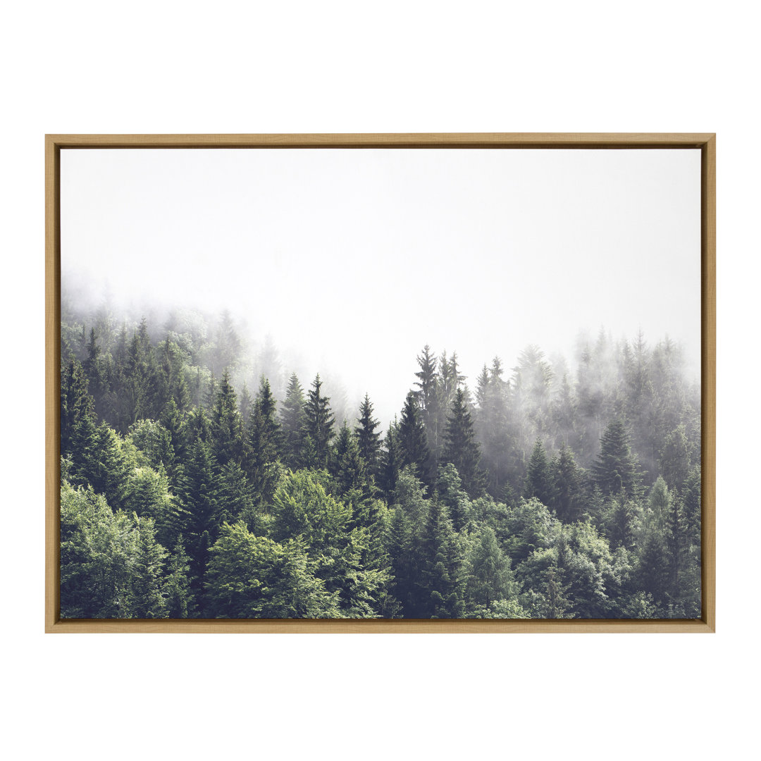 " Lush Green Forest On A Foggy Day " by The Creative Bunch Studio Lark Manor™ Frame 