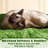 158cm H Multi Level Cat Tree-1669467717