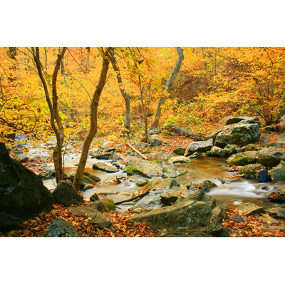 " Fall Landscape " by Stockstudios