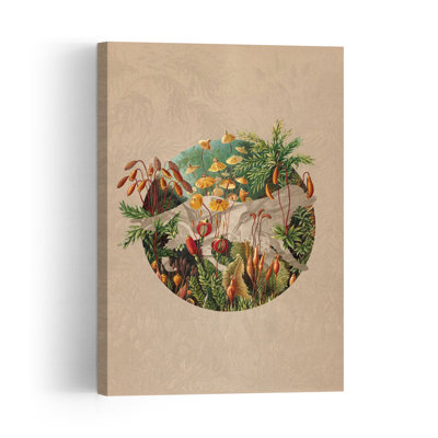 Vintage Botanical Globe Organic Vintage Abstract Fern Moss Forest Nature Wall Art Print by Dominik Przerwa - Wrapped Canvas Print
