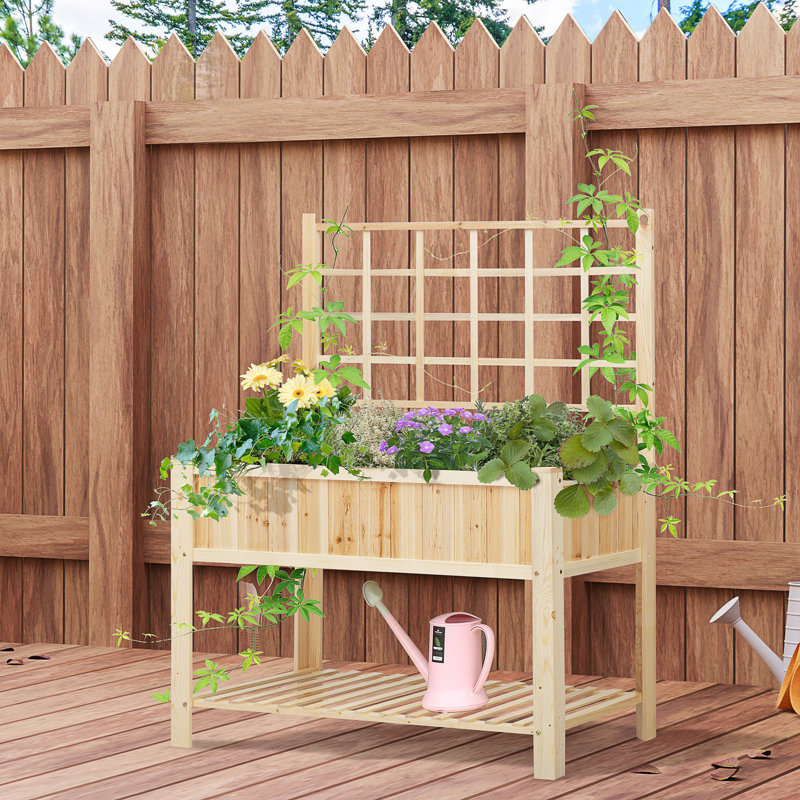 Shellman Wood Raised Garden Bed