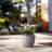 Larney Handmade Pot Planter-972891502-988070525