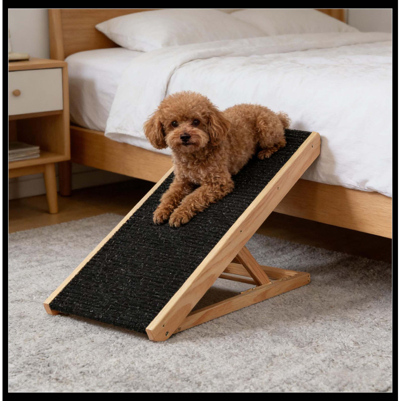 Rampe pour animaux de compagnie