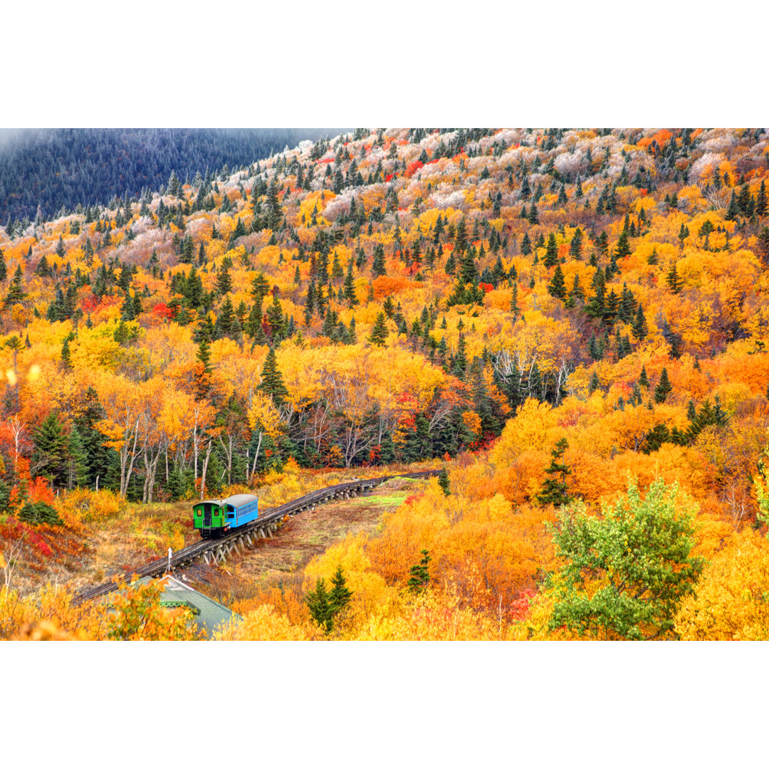 Cog Railway Train von DenisTangneyJr - Leinwandbild