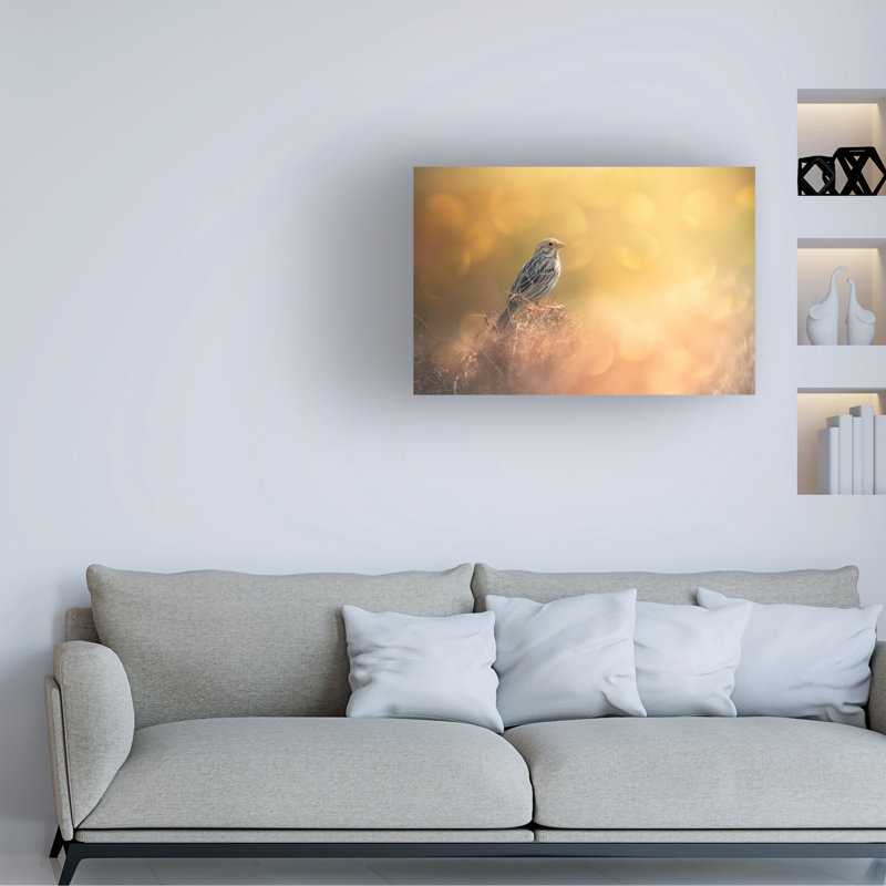 Art sur toile Sina Pezeshki, H 16 po x l 24 po