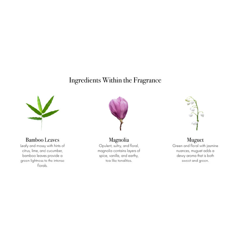 Star Magnolia Diffuser Refill