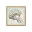 «Seashells I» par Mollie B., reproduction d'art-133722908-133722910-133722913
