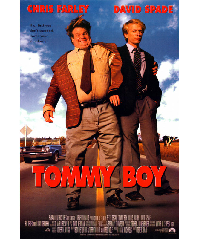Tommy Boy, H 18 po x l 12 po