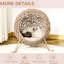 Pouf surélevé tissé de 52 cm (20,5 po) pour chat, avec un intérieur rembourré beige confortable.