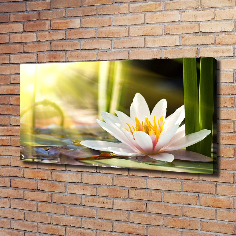 Water Lily - Wrapped Canvas Print