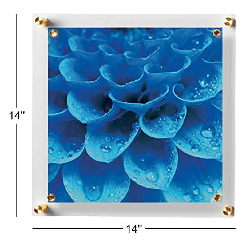 14" x 14" Trio Picture Frame, Gold/Clear