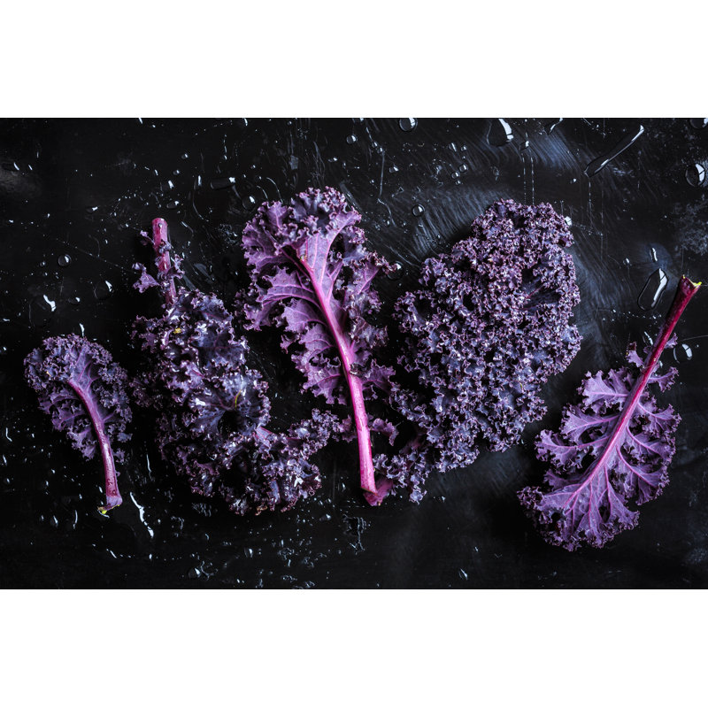 Purple Kale Leaves by Quanthem - Wrapped Canvas Print, 81cm H x 122cm W