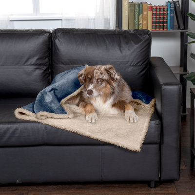 Snuggly & Warm Soft-Edge Warming Waterproof Blanket