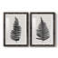 «Forest Fern III», reproduction de cadre photo sur toile 2 pièces-1681076168-1681075765