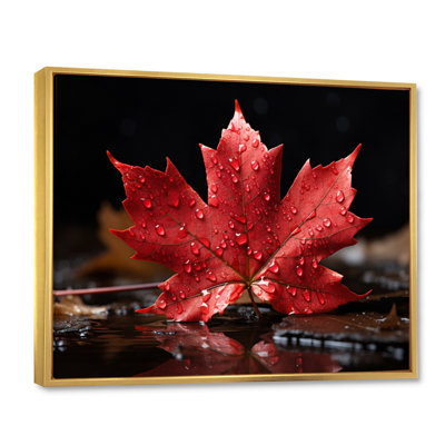 " Canada Canadian Pride III "
