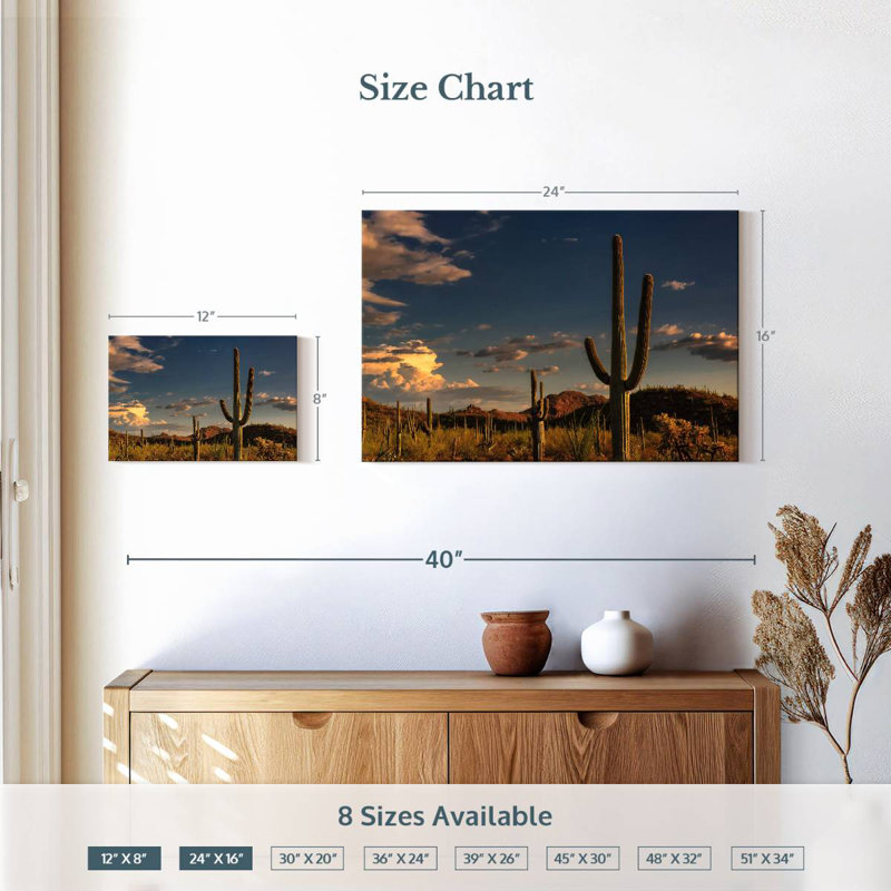 Cactus Harnek Tucson, H 16 po x l 24 po
