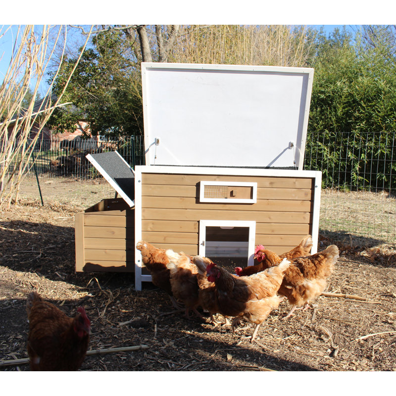 Brown and White Wooden Chicken Coop with Nesting Box