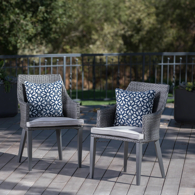 Ensemble de 2 fauteuils de patio, Gris pâle / gris