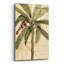 «Royal Palm I» par NBL Studio-1428737832