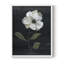 Country Botanical I, reproduction encadrée - bois massif-1940186856-1940186860