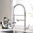 FLG Pull Down Kitchen Faucet-67104650