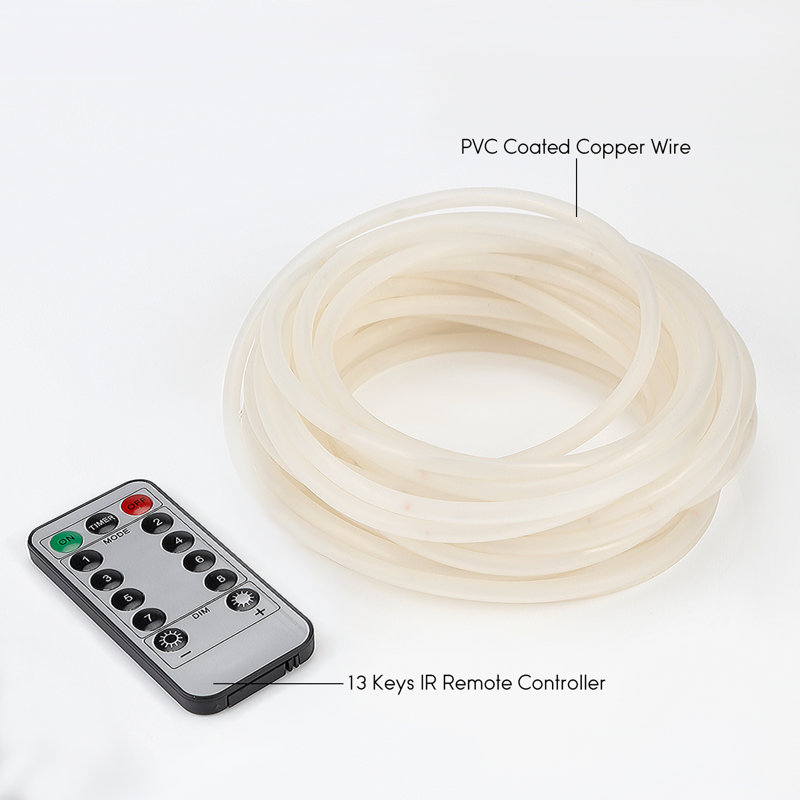 Led Rope Light With Remote Control
