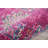 Abbate Oriental Fuchsia Pink Area Rug-1741537523