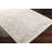 DeSoto Oriental Machine Woven Area Rug-1302387832