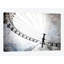 « spin wheel iv », reproduction de photo sur toile-28960446-74526381-74546060