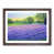 Walnut Framed selected