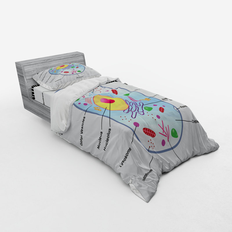 Quilt Set, Twin XL Duvet Cover + 2 Additional Pieces
