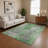 Premium Machine Washable Jacquez AMF1789 Modern Rug-789085632
