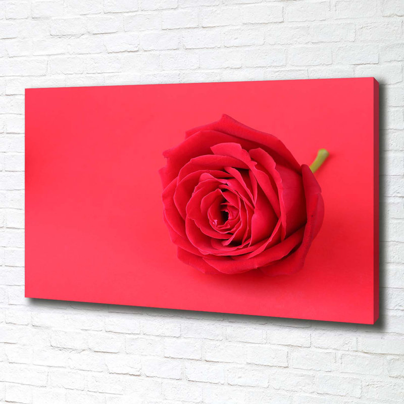Red Rose - Wrapped Canvas Print