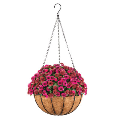 Artificial Hanging  Mums In Coir Pot