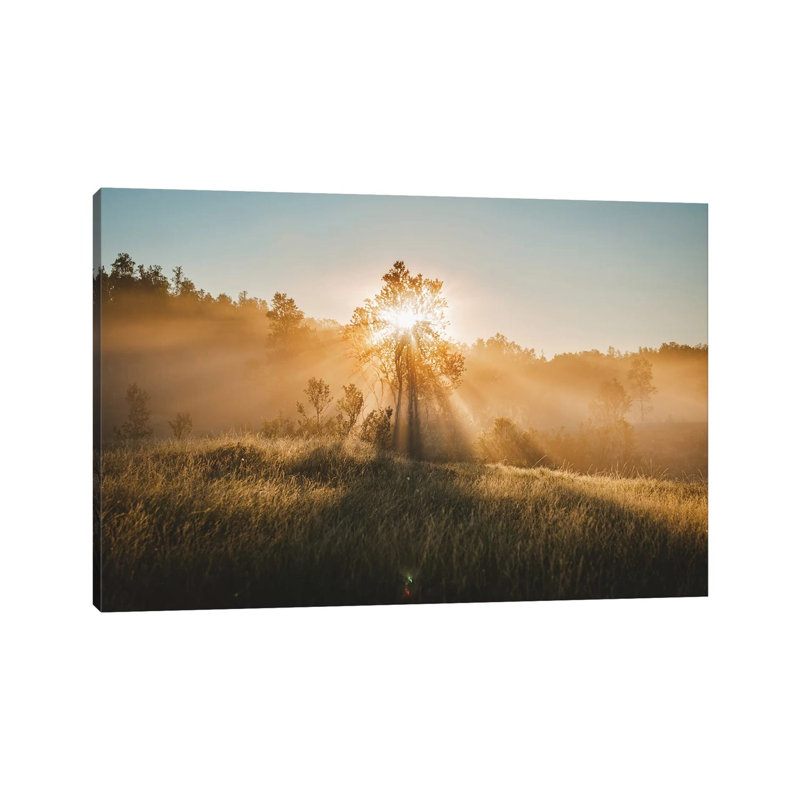 Tree Of Life by Steffen Fossbakk - Wrapped Canvas Print, 20.32 cm H x 30.48 cm W