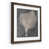 Walnut Framed Paper n'est pas disponible
