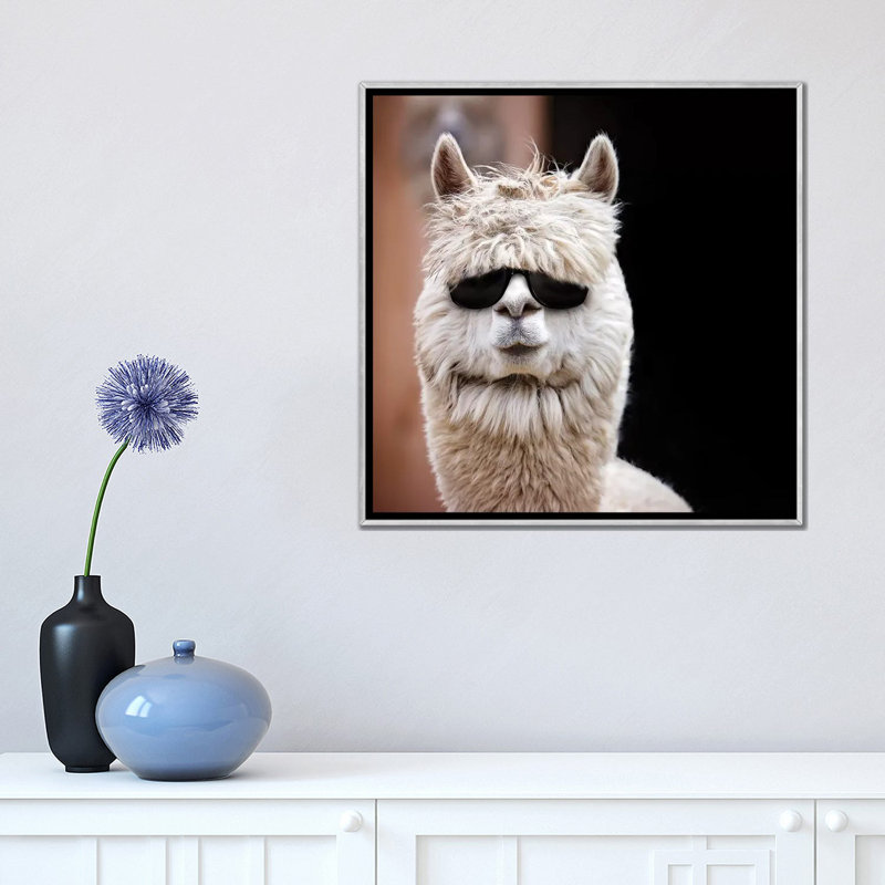 Alpaca in Shades par Kerry Beall - reproduction de photo, Toile avec cadre argenté, Non mat, H 18 po x l 18 po x 1,5 po