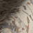 Woodland Bordered Wool Area Rug-105783394