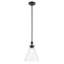 Luminaire suspendu traditionnel 1 lumière avec verre-111187558-111187554-111187557