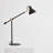 Krauss Adjustable Metal Desk Lamp-1313661184