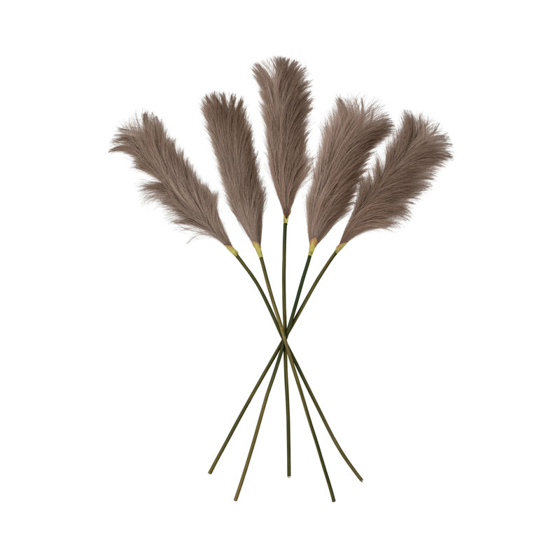 Goma Arrangement, Brown