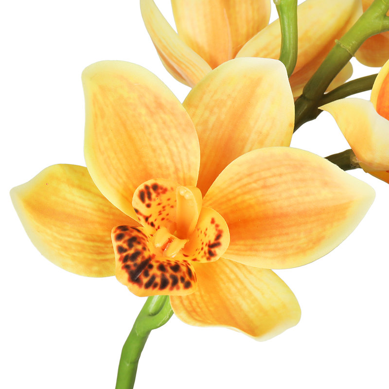 Tige d'orchidée Cymbidium, Jaune
