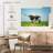 Brampt Longhorn Steer-107842216