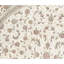 Elegance Oriental Area Rug in Ivory