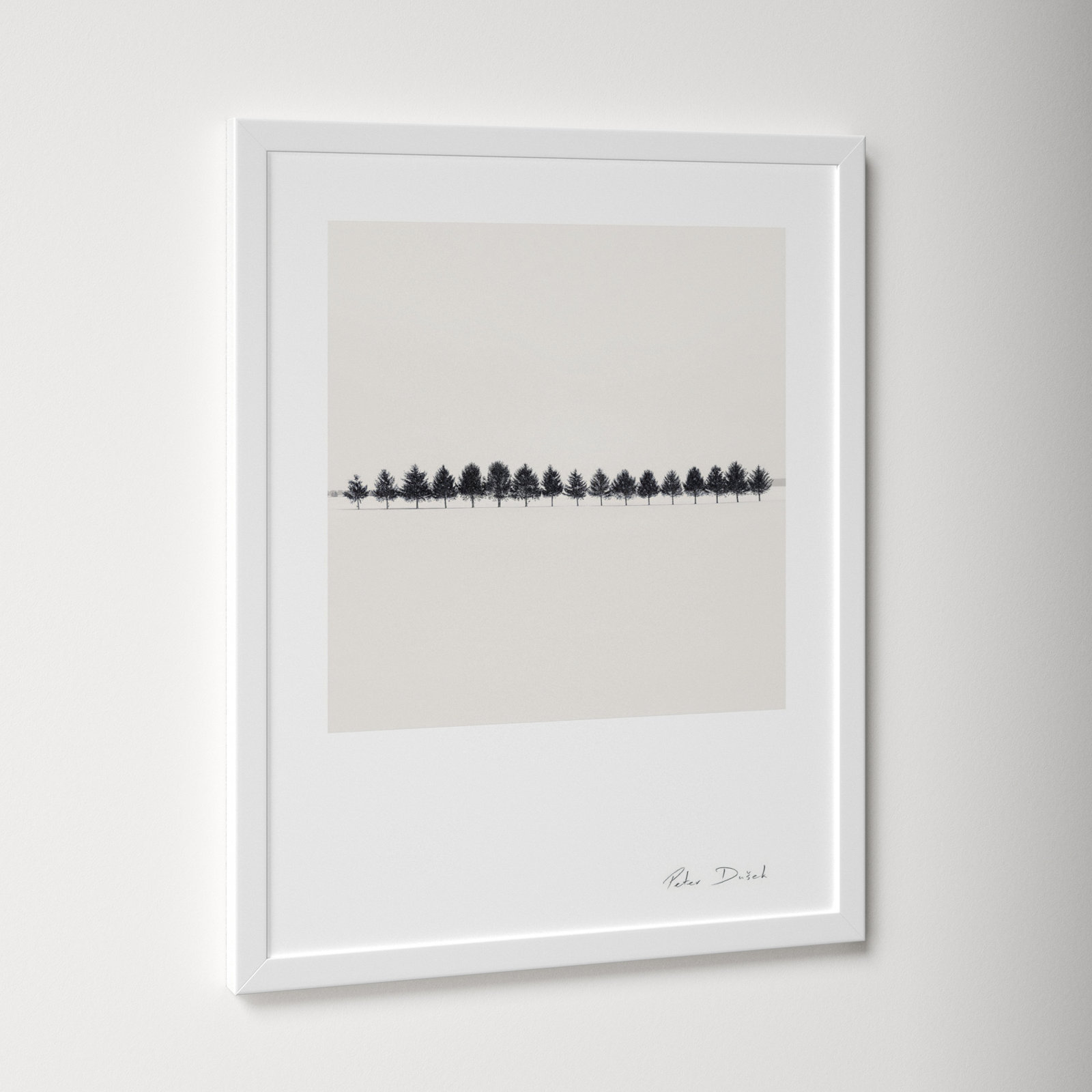 Seventeen Trees by Peter Dušek, White, 30" H x 24" W x 1.25" D