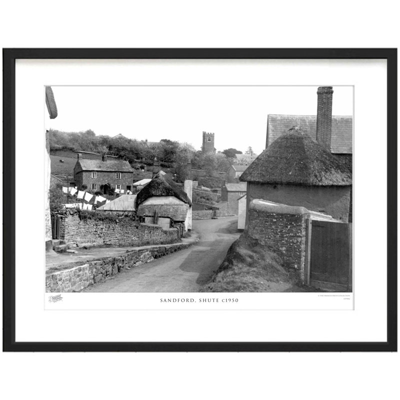 Sandford, Shute C1950 by Francis Frith - Single Picture Frame Print, 60cm H x 80cm W x 2.3cm D