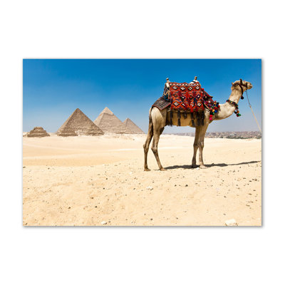 Camel In Cairo - Wrapped Canvas Print
