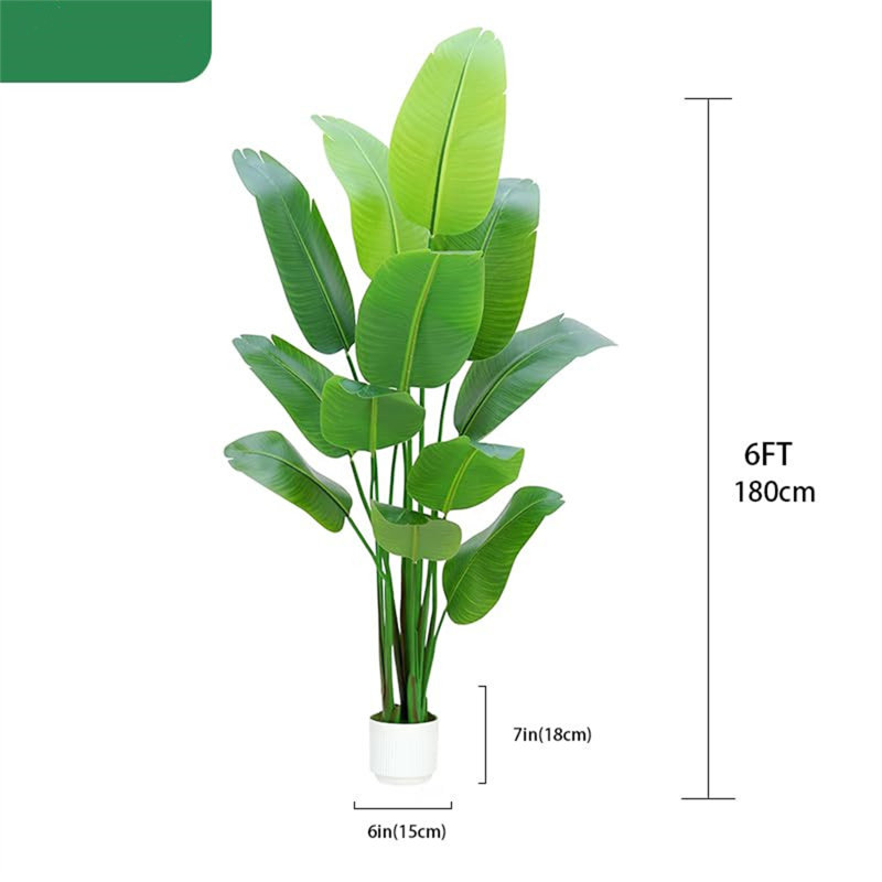 210cm Plant