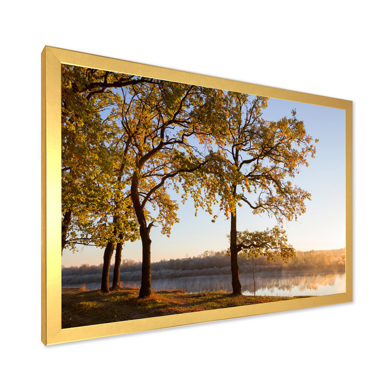 Décoration murale en toile Oak Grove par The River, Impression dorée sur toile encadrée, H 24 po x l 36 po x P 1 po